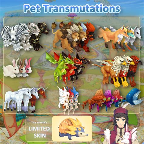 flyff looter pet